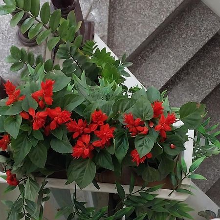 Da Tree Homestay Hanoi Dış mekan fotoğraf