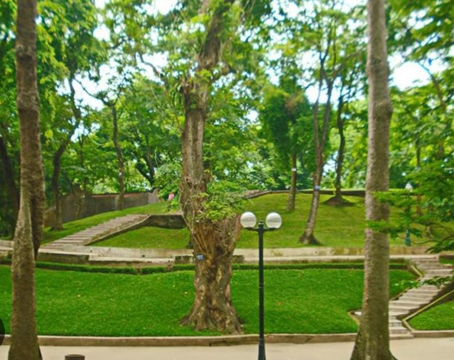 Da Tree Homestay Hanoi Dış mekan fotoğraf