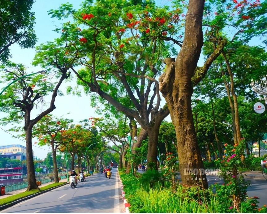 Da Tree Homestay Hanoi Dış mekan fotoğraf