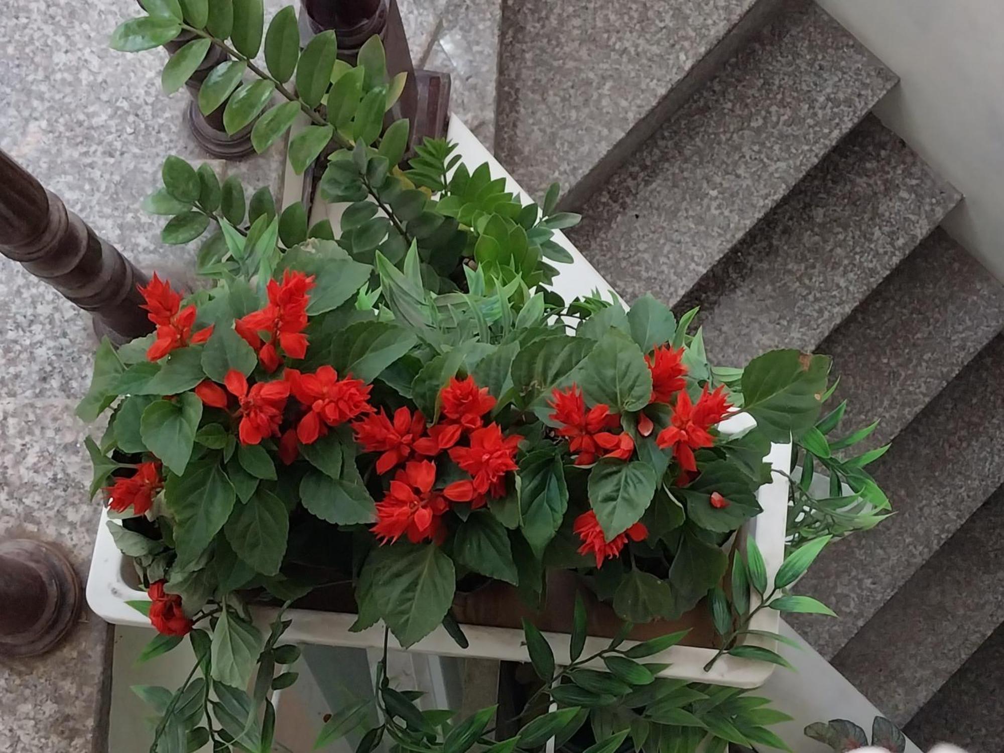 Da Tree Homestay Hanoi Dış mekan fotoğraf